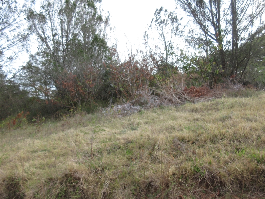 0 Bedroom Property for Sale in Bathurst Eastern Cape